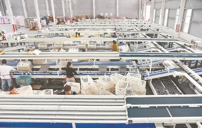 智慧赋能，果香四溢 人工智能如何重塑水果产业