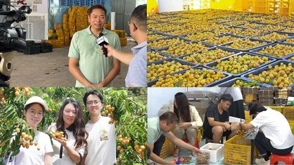 AI+非遗基因库 广东白云学院如何让81亿水果产业破圈升级